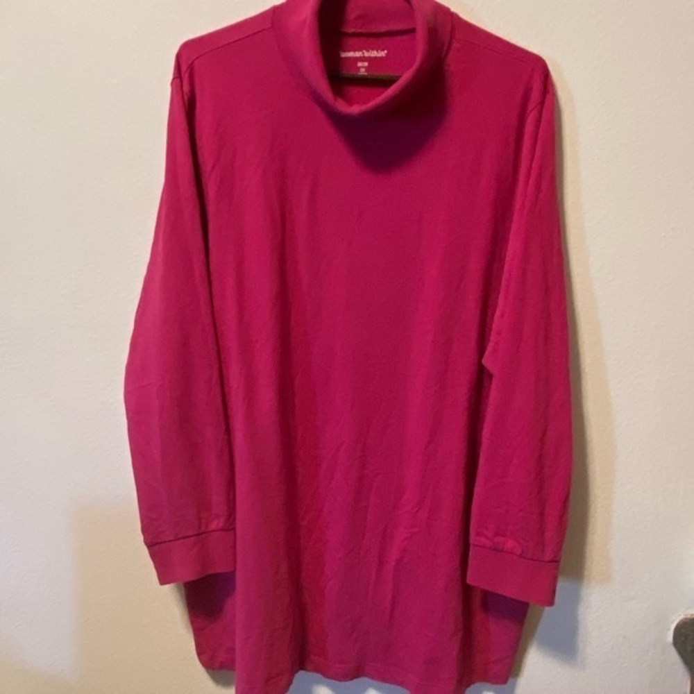 Woman Within Top Women’s Size‎ 2X Pink LongSleeve Turtle Neck